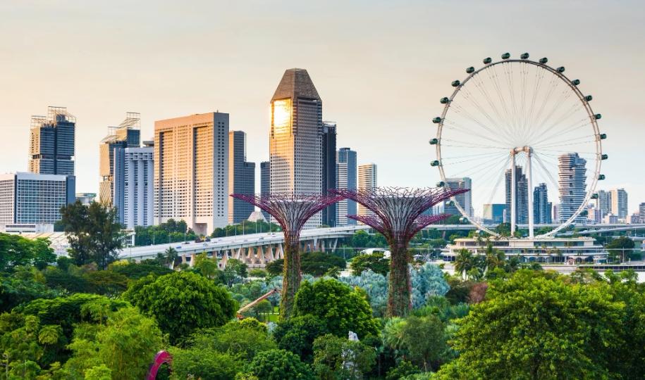 Singapore approach: how a small country revives agriculture on 1% of farmland