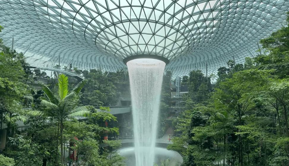 Singapore approach: how a small country revives agriculture on 1% of farmland